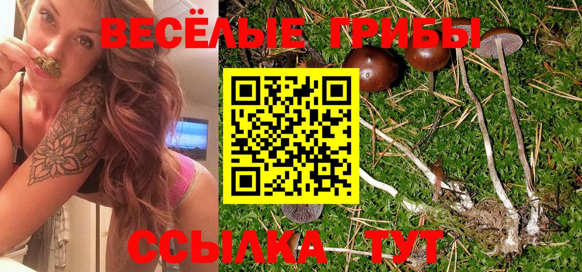 Галлюциногенные грибы Cubensis Михайловск